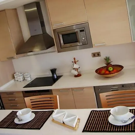 Lujoso Atico-duplex Frente Al Mar Apartmán